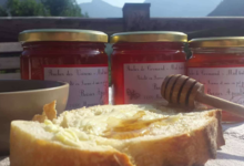 Boisier apiculture