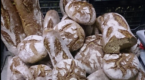 Le pain de Chibon