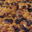 flapjack