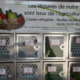 Gaec aux légumes de saison