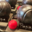 boule de pétanque tout en chocolat.