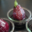 Les bocaux d'Hélène, Poires vin rouge framboises et coco