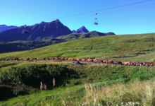 La ferme du Mont Forchat