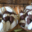 Fournil Lullinois, meringues chocolat