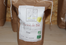 Gaec Le Regain, Farine de blé T110 Bio