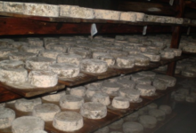 chèvrerie de Vesonne, tomme de chèvre