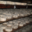 chèvrerie de Vesonne, tomme de chèvre