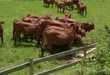 Ferme de la Correrie