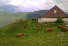 Ferme de la Correrie