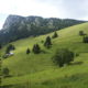 Les bergers de Comborse