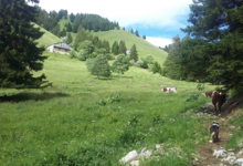 Les bergers de Comborse