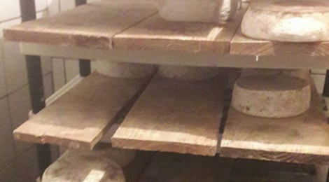 Ferme les Alpines, tomme de chèvre