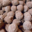 Pâtissier Chocolatier Fontaine, truffes