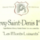 Domaine Magnien, Morey-Saint-Denis Premier Cru 'Les Monts-Luisants'