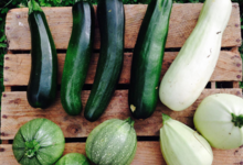 La ferme d'Elouise, courgettes