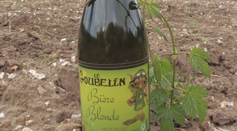 Micro brasserie Le Goubelin, bière blonde