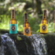 Brasserie Graines de Bulles