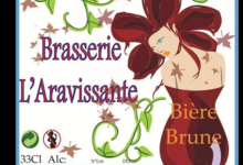 Brasserie l'Aravissante, bière brune