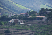 Domaine Cardoner Les Tines