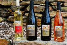 Domaine Cardoner Les Tines