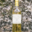 Domaine du Salut, AOC Cérons - blanc liquoreux