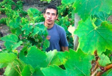 Domaine Bruno Duchene