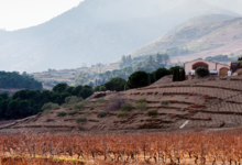 Domaine Coume del Mas