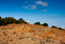 Domaine Coume del Mas