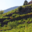 Domaine Coume del Mas