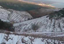 Domaine Coume del Mas