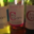 Domaine Vial Magnères, petit Couscouril rouge