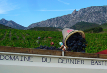 Domaine Du Dernier Bastion