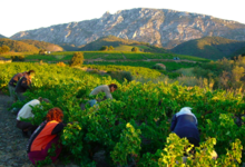 Domaine Du Dernier Bastion