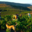 Domaine Du Dernier Bastion