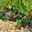 Domaine Du Dernier Bastion