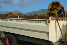 Domaine Du Dernier Bastion