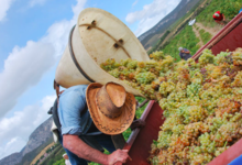 Domaine De La Coume Du Roy