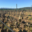 Vignobles d'Agly