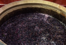 Vignobles d'Agly