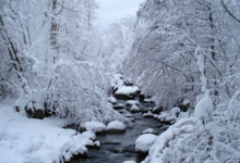 Le chant de l'eau
