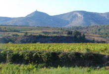 Domaine Jolly Ferriol