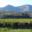 Domaine Jolly Ferriol