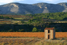 Domaine Jolly Ferriol