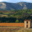 Domaine Jolly Ferriol