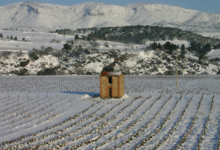 Domaine Jolly Ferriol