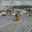Domaine Jolly Ferriol