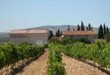 Mas Castello - Domaine Cachau Dubournais