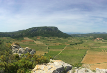 Domaine Gardies