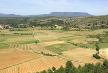 Domaine Gardies