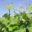 Domaine Gardies